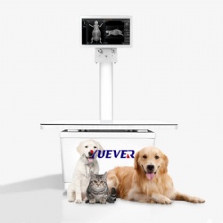 YDV-DXV1 veterinary Digital Radiography DR X Ray